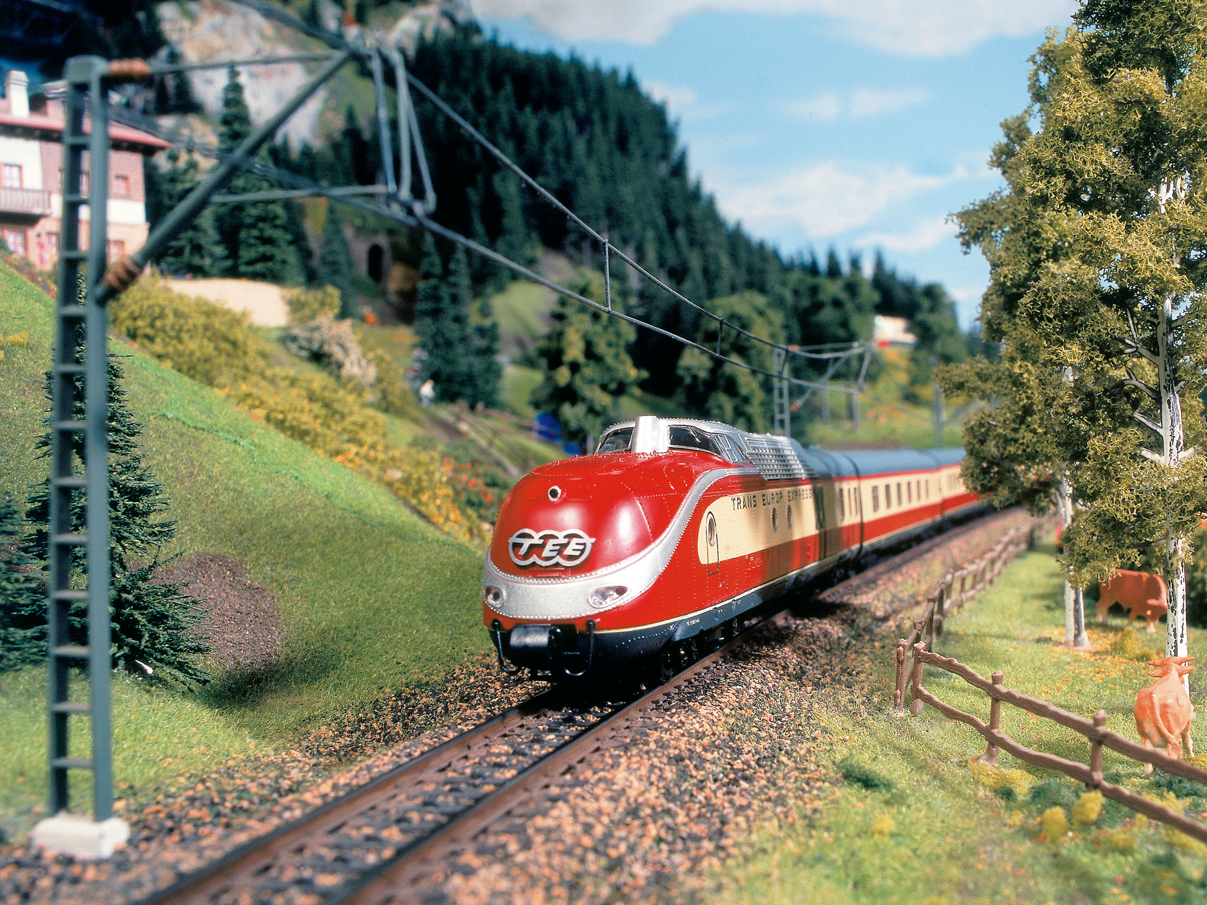 Magnifico video del più grande plastico ferroviario del mondo - Terra Delle Meraviglie In Miniatura